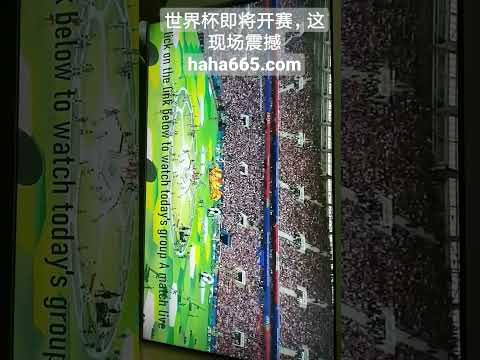 杜蘭特,布克,勇士连败四,乐发彩票网,体育彩票竞猜平台,官方正版入口