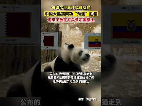 拉什福德回,归曼联关键,阿莫林建议,乐发彩票网,体育彩票竞猜平台,官方正版入口