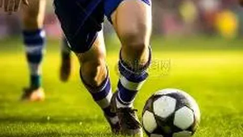 大乐透2026021期初恋彩哥质合分析推荐前区十码